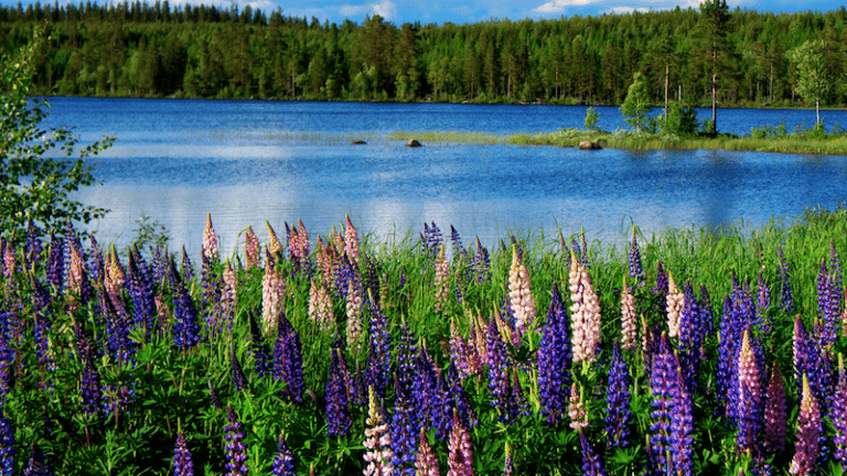 “Care During Crisis: My R*pe Kit Experience” by Brooke Gallagher