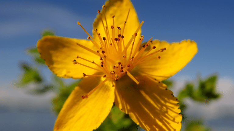 “I can’t watch The Office S1 E3 anymore” by Anonymous