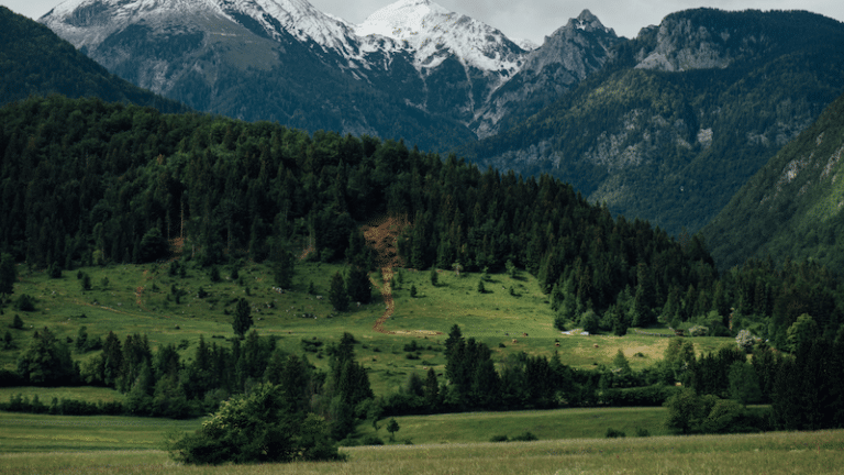 “I Didn’t Think It Would Happen a Second Time” by Anonymous