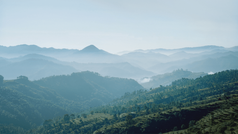 “Crazy” by Emily Moser